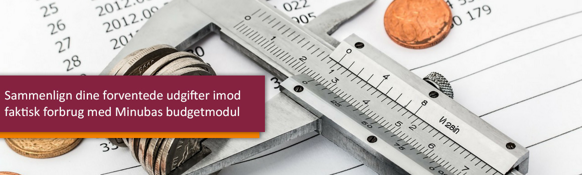 Brug dit budgetmodul i Minuba