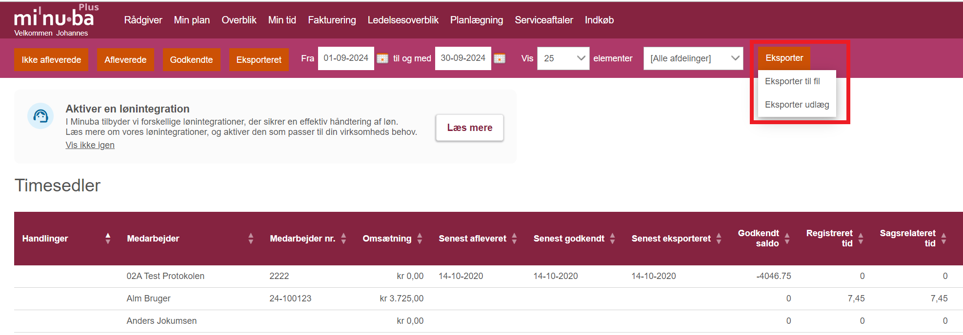 Screenshot 2 (Eksport fra timeseddel side)